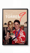Fernando Torres Dünya Kupası Tasarım Tablo